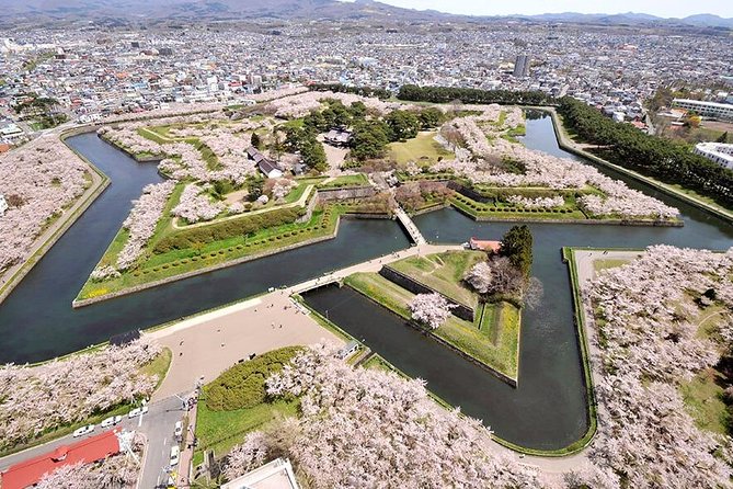 Hakodate 4hr Private Tour with Government-Licensed Guide - Mount Hakodate and the famous city view