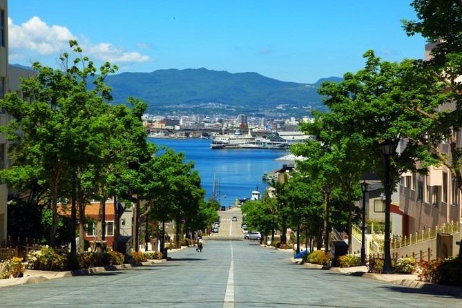 Hakodate 6hr Private Tour with Government-Licensed Guide - Goryokaku, the star fort and the end of an era