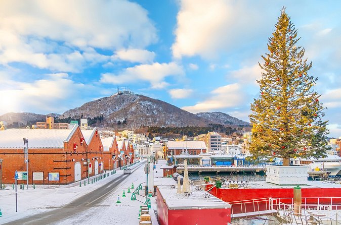 Hakodate Private Customizable 6-Hour Tour - Six hours, three or four stops, and the question of pace