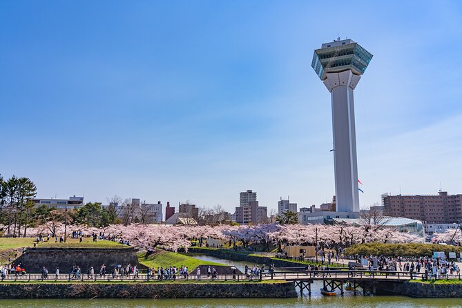 Hakodate Private Customizable 6-Hour Tour - What the $284.18 price really buys