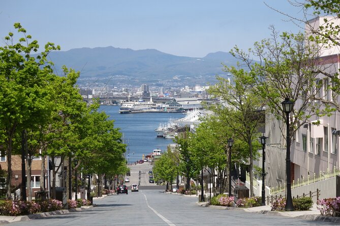 Half Day Hakodate Tour with Government Licensed English guide - A compact way to see Hakodate