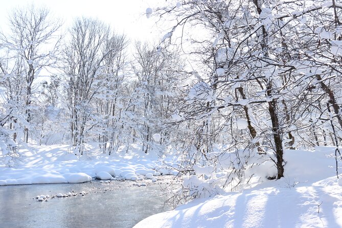 Half Day - Snow View Rafting in Niseko - The riverbank stop, hot drinks, and snow play