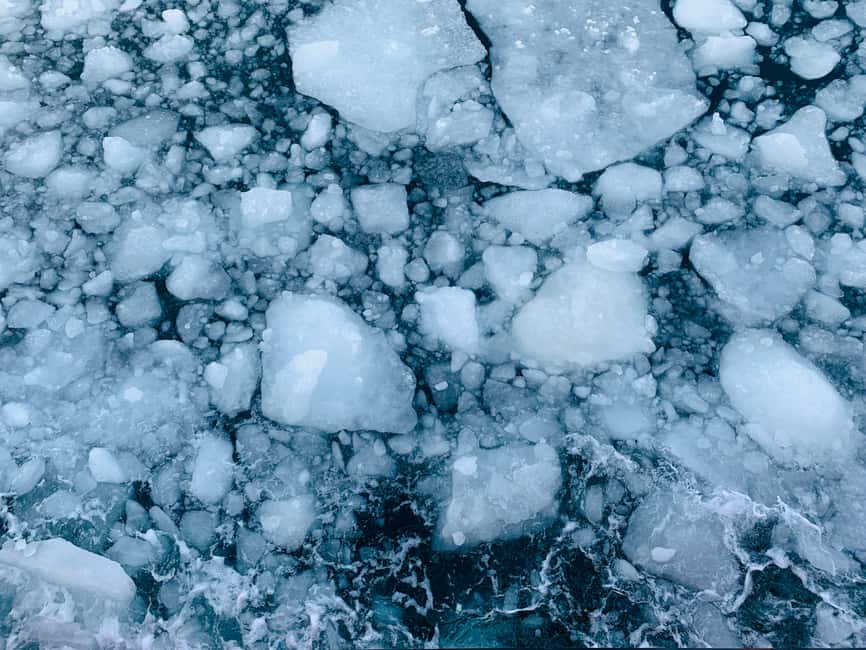 Hokkaido-2 Day Tour to Icebreaker Mombetsu and Asahiyama Zoo - Why the Okhotsk icebreaker is worth the long ride