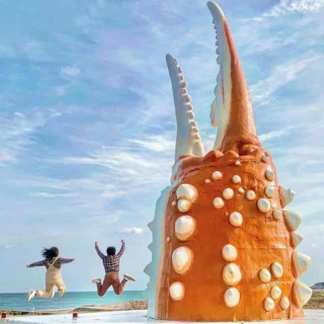 Hokkaido-2 Day Tour to Icebreaker Mombetsu and Asahiyama Zoo - Seafood lunch and Monbetsu’s giant crab claw