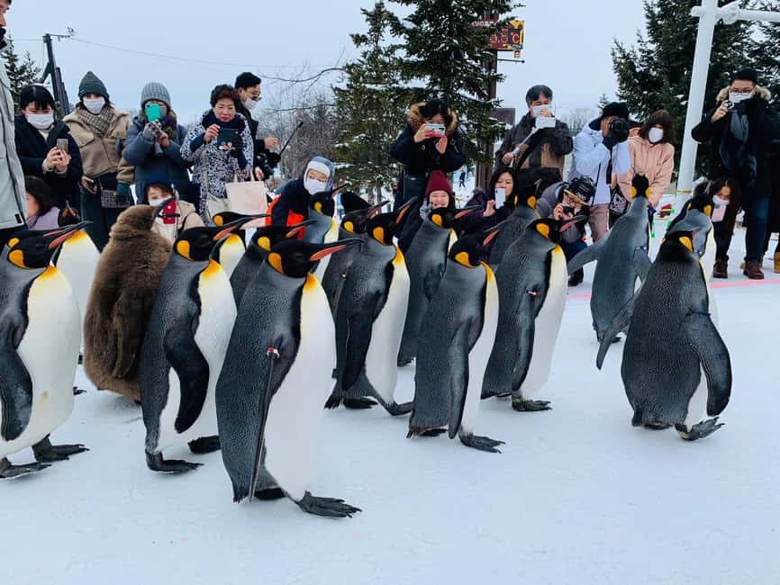 Hokkaido-2 Day Tour to Icebreaker Mombetsu and Asahiyama Zoo - Sapporo to Bibai: a snowy start without skis