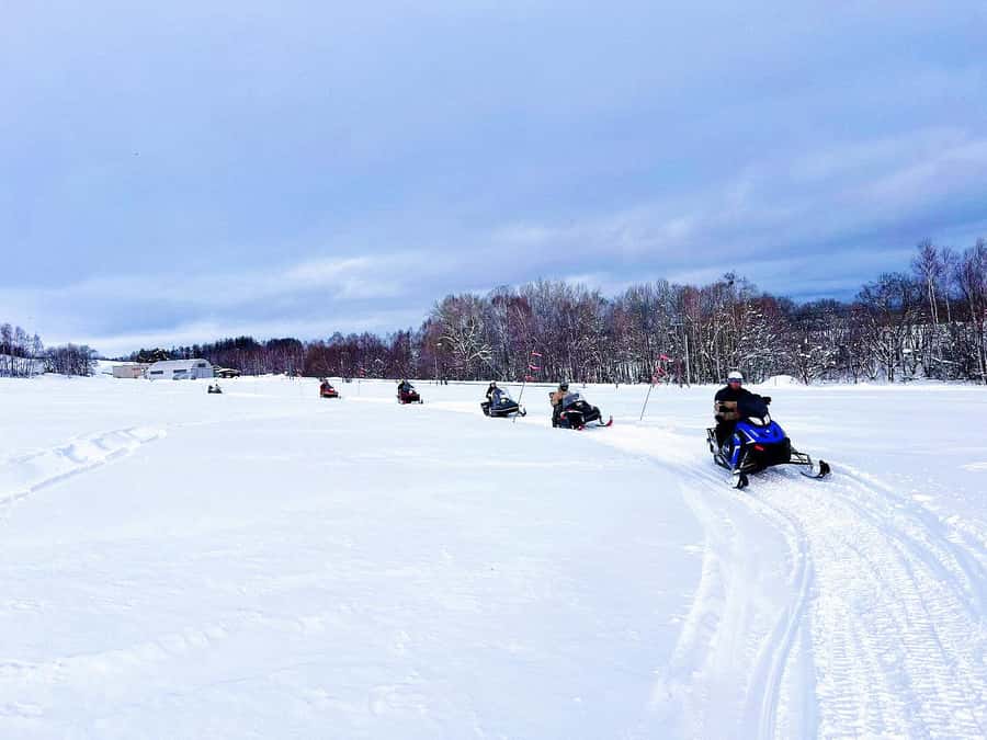 Hokkaido Asahiyama Zoo& Biei Blue pond Tour with Local Guide - Why This Route Works From Sapporo