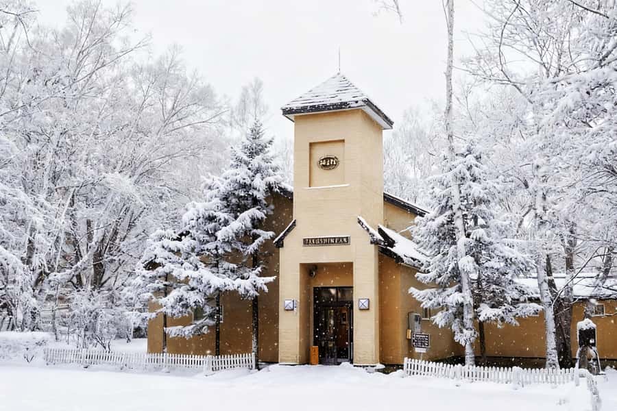 Hokkaido Asahiyama Zoo& Biei Blue pond Tour with Local Guide - Timing, Weather, and Small Practical Details