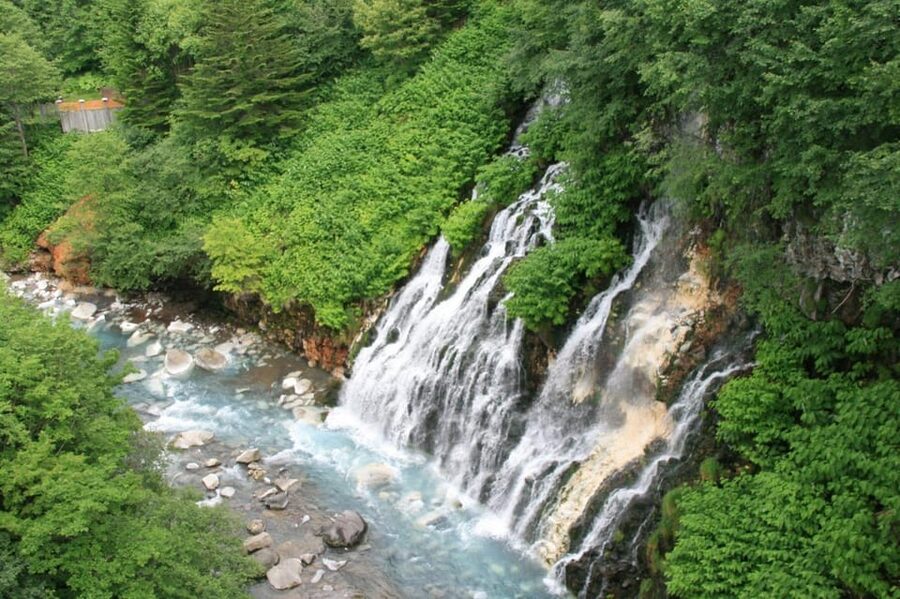 Hokkaido Asahiyama Zoo& Biei Blue pond Tour with Local Guide - Who Should Book This Hokkaido Day Trip?