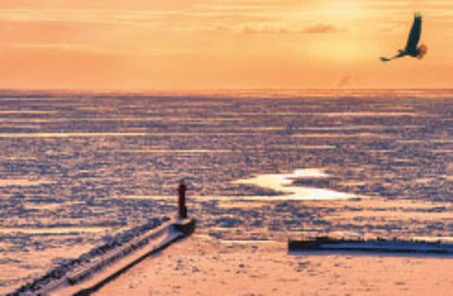 Hokkaido Asahiyama Zoo, Icebreaker GARINKO GO Sunset Tour - Boarding GARINKO GO III near the Okhotsk coast
