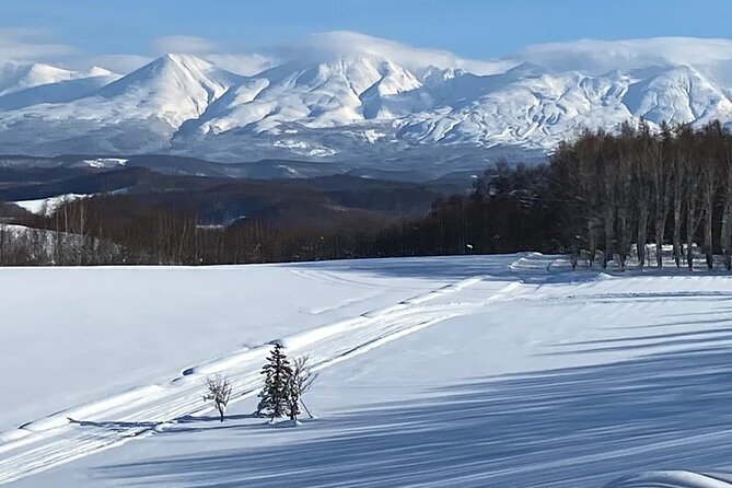 Hokkaido Asahiyama Zoo Ningle Terrace Day trip - Weather, closures, and practical limits