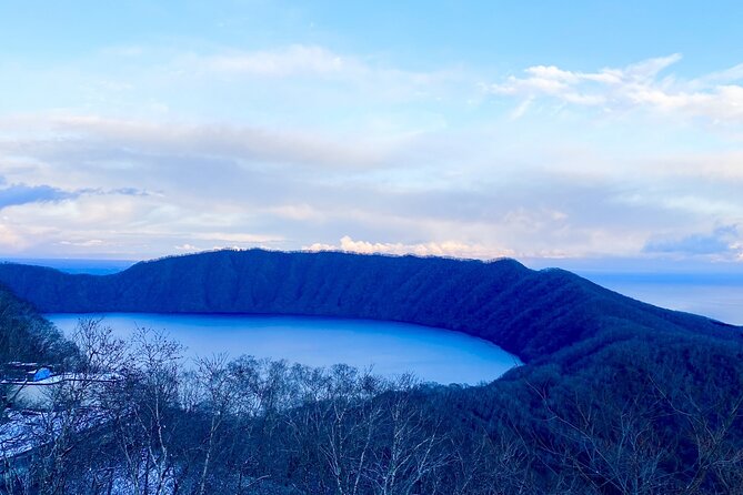 Hokkaido: Bear Park and Jigokudani Hell Valley Tour - What the private format means for you