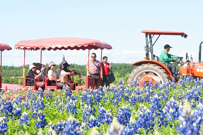 Hokkaido Biei Blue Pond Furano Flower Farm Ningle Terrace Trip - Shikisai-no-Oka on four days each week