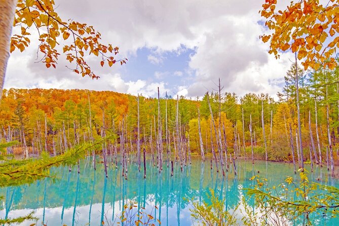 Hokkaido Biei Blue Pond Furano Flower Farm Ningle Terrace Trip - Ningle Terrace and its handmade crafts