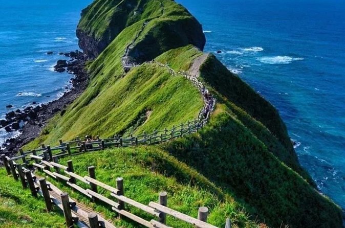 Hokkaido Cape Kamui Shimamui Coast Otaru Day Tour from Sapporo - Otaru Canal, the easiest hour and a half