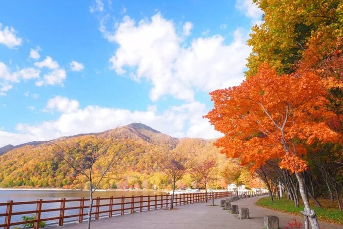 Hokkaido Day Tour from Sapporo: with Bear Park Option - Should you add Noboribetsu Bear Park?
