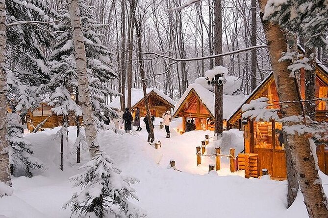 Hokkaido Day Trip From Sapporo, Asahiyama Zoo to Ningle Terrace - Group size, comfort, and physical demands