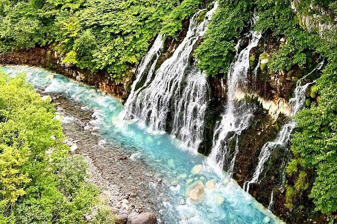 Hokkaido Farm Tomita Shikisai Hill Waterfall& Blue Pond Day Tour - The key things to know before booking