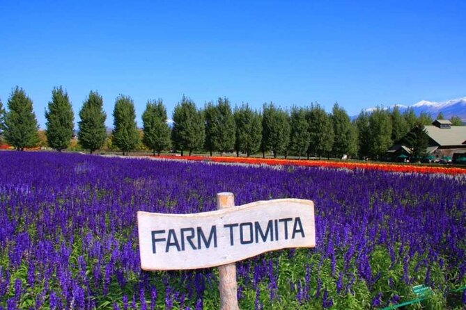 Hokkaido Farm Tomita Shikisai Hill Waterfall& Blue Pond Day Tour - Patchwork Road and Biei’s famous trees
