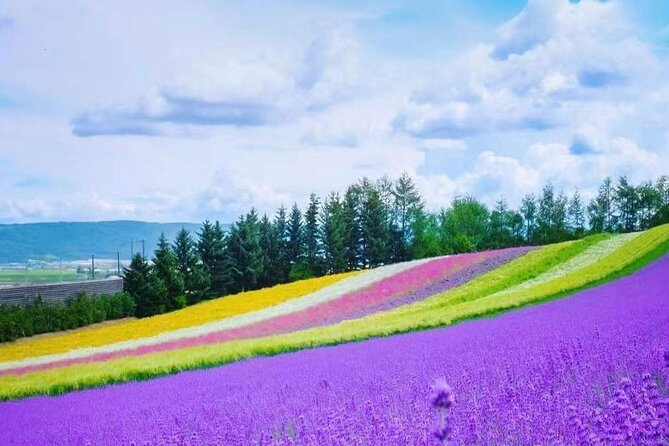Hokkaido Farm Tomita Shikisai Hill Waterfall& Blue Pond Day Tour - Shirahige Falls at Shirogane Onsen