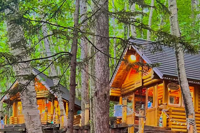 Hokkaido Farm Tomita Shikisai Hill Waterfall& Blue Pond Day Tour - A closer look at the bus day