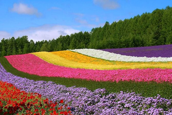 Hokkaido Farm Tomita Shikisai Hill Waterfall& Blue Pond Day Tour - Shikisai-no-Oka: 90 minutes among seasonal flowers