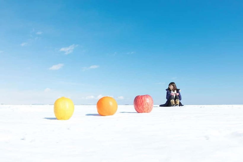Hokkaido: Frozen Sea Walking Adventure of Notsuke Peninsula - Key points to know before you go