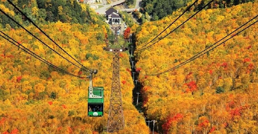 Hokkaido│Kurodake Ropeway, Asahiyama Zoo Autumn Leaves Tour - A full autumn day from Sapporo
