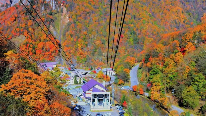 Hokkaido│Kurodake Ropeway, Asahiyama Zoo Autumn Leaves Tour - One hour at Asahikawa Ramen Village