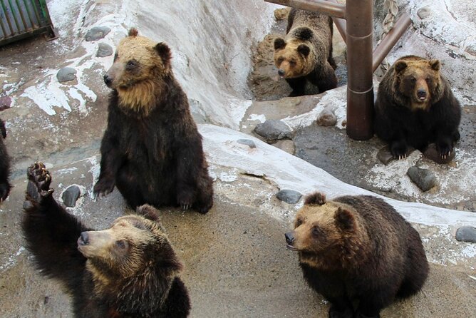 Hokkaido: Lake Toya, Bear Ranch and Sapporo Otaru Full Day Tour - The bus ride matters more than you might expect