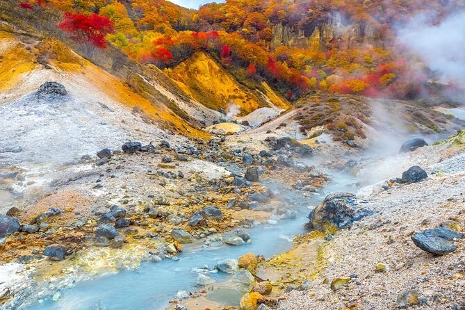 Hokkaido: Lake Toya, Bear Ranch and Sapporo Otaru Full Day Tour - Is $85.66 good value?