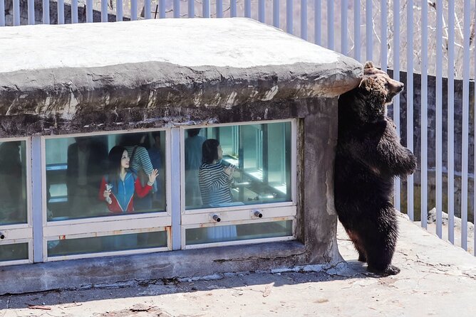Hokkaido: Lake Toya, Bear Ranch and Sapporo Otaru Full Day Tour - Who will enjoy this tour most?