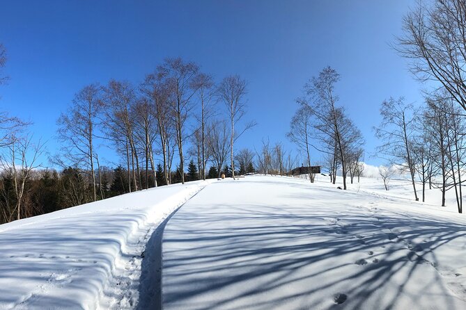 Hokkaido Nature and Gourmet Experience near Lake Toya - Moving into the cozy kitchen