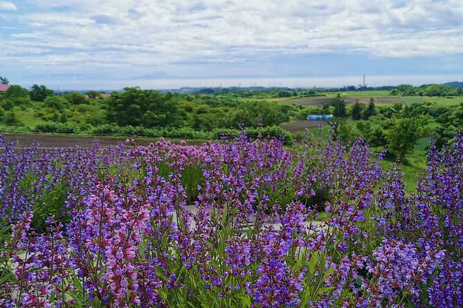 Hokkaido Nature and Gourmet Experience near Lake Toya - Who will get the most from this experience