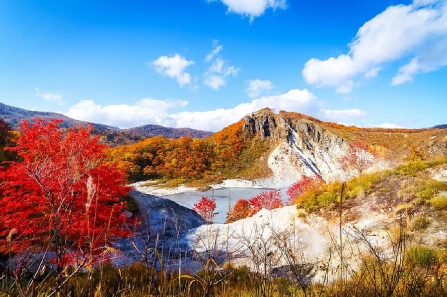 Hokkaido│Noboribetsu & Lake Toya Tour with Ropeway Ticket - The Bear Ranch raises a serious ethical question