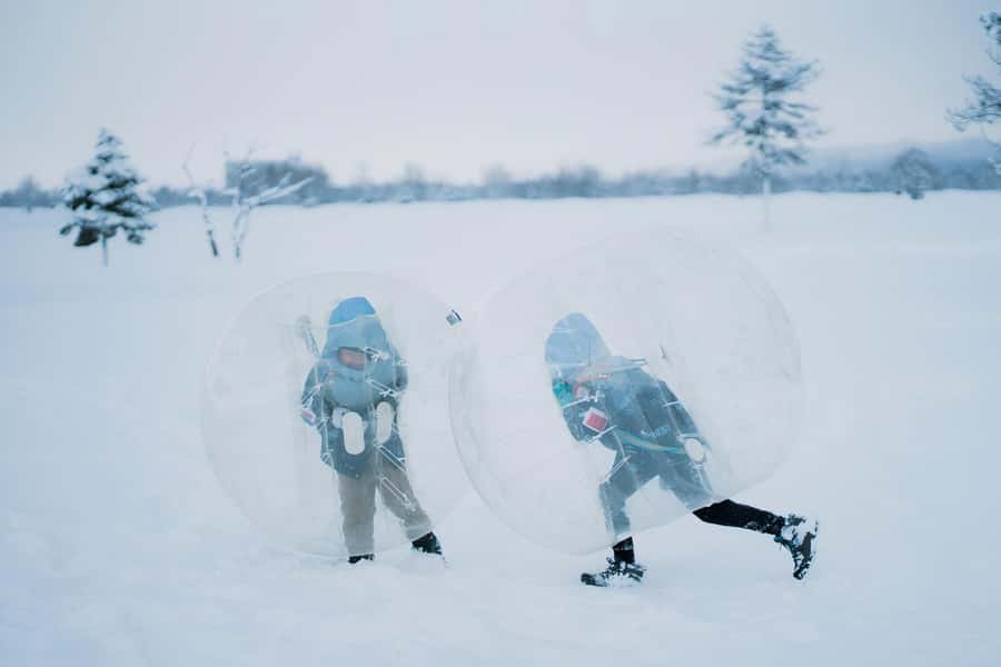 Hokkaido, Sappro, Otaru & Cape Kamui One-day Tour - Why this Hokkaido day trip works
