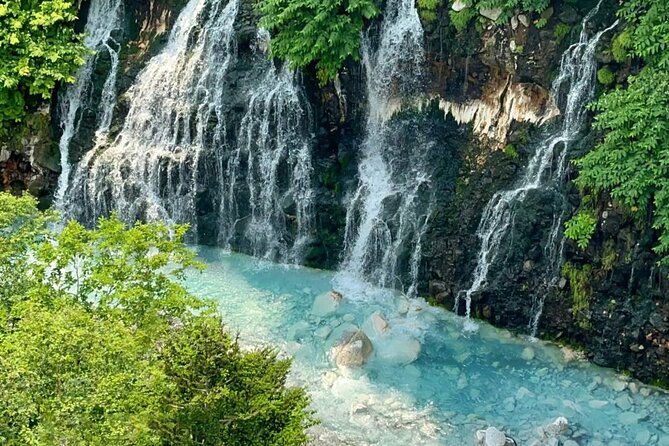 Hokkaido Scenic Day Tour: Zoo, Blue Pond, Iconic Trees & Terrace - Shirahige Waterfall brings movement and color