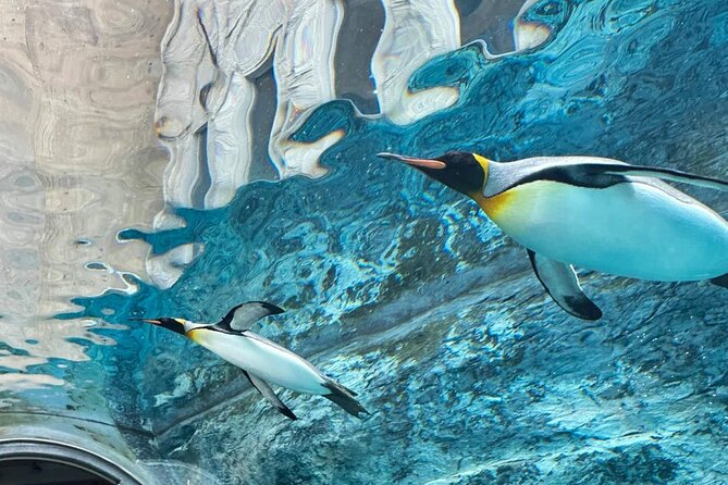 Hokkaido Scenic Day Tour: Zoo, Blue Pond, Iconic Trees & Terrace - Ningle Terrace closes with crafts and a forest setting
