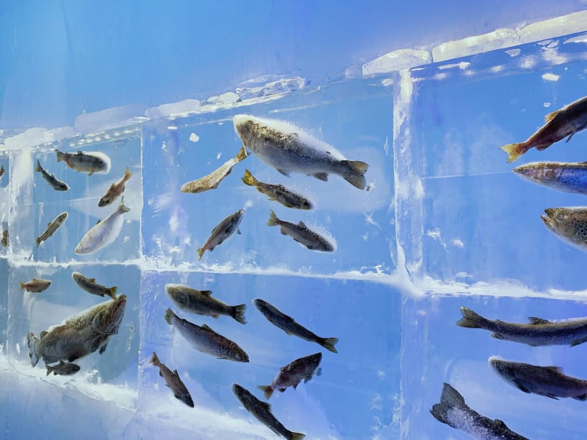 Hokkaido Tour:Sapporo to Noboribetsu, Lake Toya,Ice Festival - Showa-Shinzan, Hokkaido’s young lava dome
