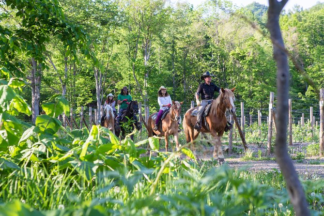 Horseback-Riding in a Country Side in Sapporo - Private Transfer is Included - A cowboy-style start outside Sapporo