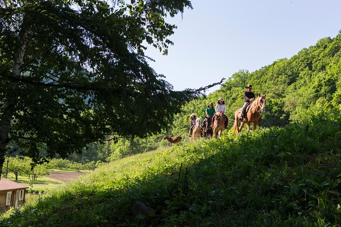 Horseback-Riding in a Country Side in Sapporo - Private Transfer is Included - Orchards, forest, and the eight-peak view