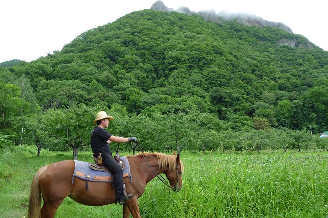 Horseback-Riding in a Country Side in Sapporo - Private Transfer is Included - Why the private taxi adds real value