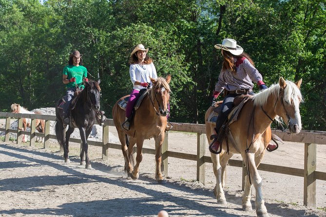 Horseback-Riding in a Country Side in Sapporo - Private Transfer is Included - Who will enjoy this Sapporo horseback ride