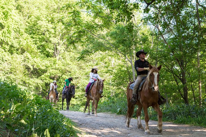 Horseback-Riding in a Country Side in Sapporo - Private Transfer is Included - The first 20 minutes are more important than they sound