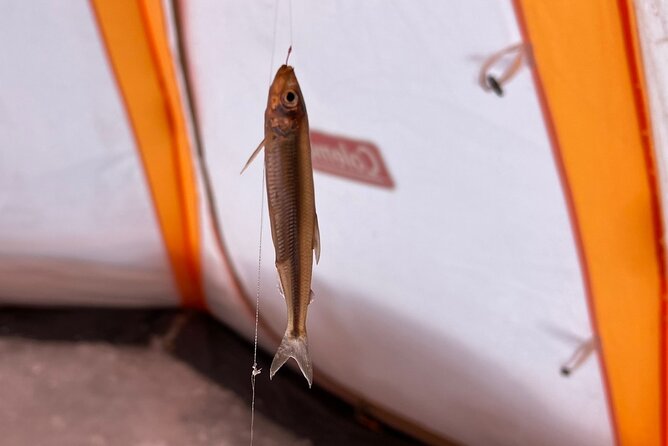 Lake Nukabira Smelt Fishing Private Tour - Fishing for wakasagi on frozen Lake Nukabira