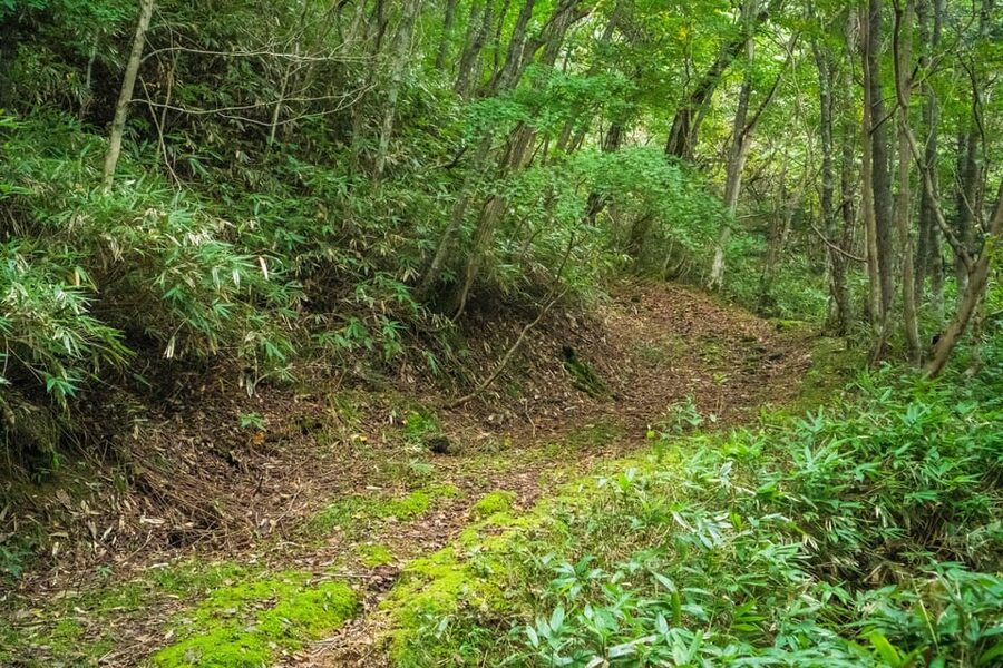 Lake Tachibana: Hike to a hidden lake! - Leaving Noboribetsu Onsen for Karurusu Onsen