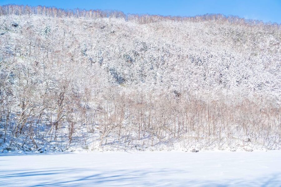Lake Tachibana: Snowshoe to a frozen lake! - Why Lake Tachibana makes a fine winter outing