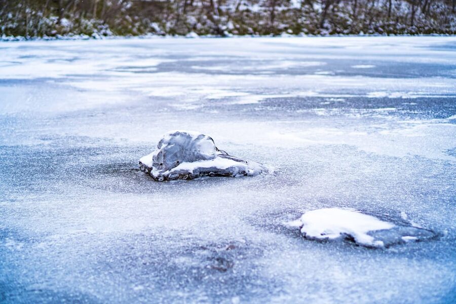 Lake Tachibana: Snowshoe to a frozen lake! - Snow-covered woods with room to notice details