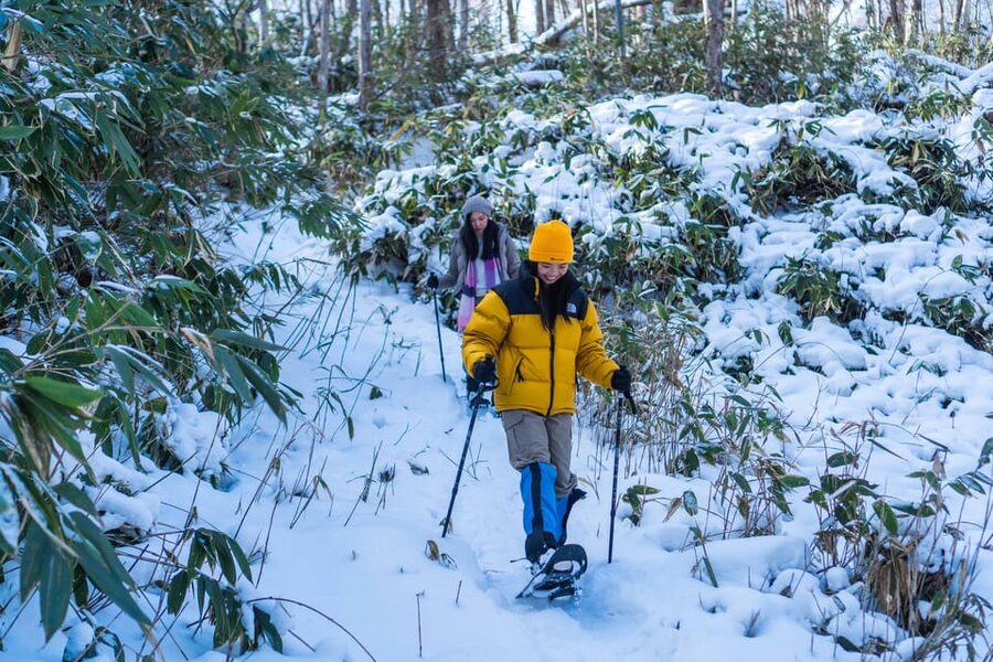 Lake Tachibana: Snowshoe to a frozen lake! - Safety, fitness, and the limits of the experience