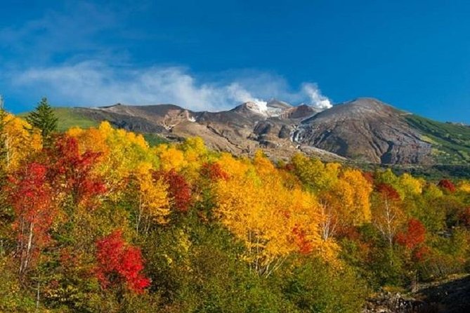 Lake Toya and Noboribatsu Hell Valley Private Day Trip - Why this Hokkaido day trip works