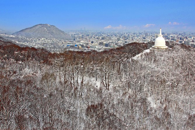Mt. Moiwa Ropeway / Moriscar Ticket - Who will enjoy this most